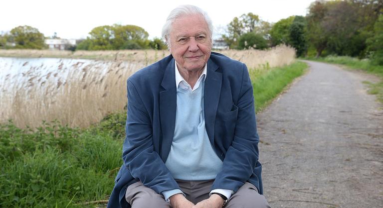 David Attenborough hivatalosan is túl öreg ahhoz, hogy legózzon