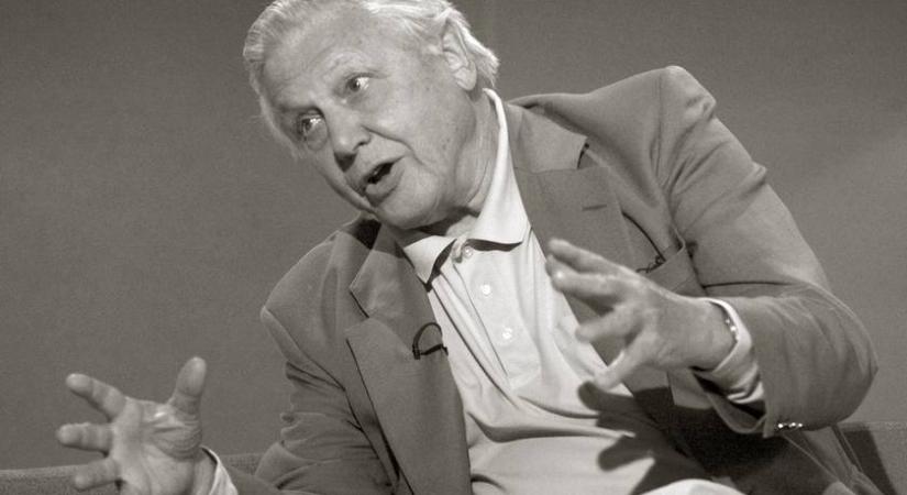Soha nem látott felvételek kerültek ki: Így ünneplik Sir David Attenborough-t