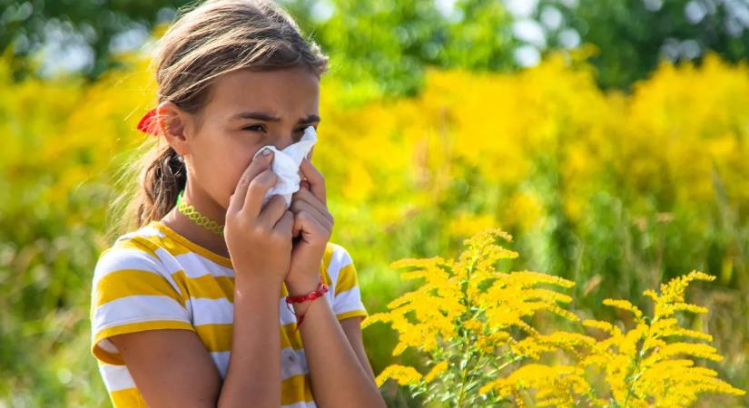 Egyre kegyetlenebb az allergiaszezon: ez a meglepő dolog állhat a háttérben