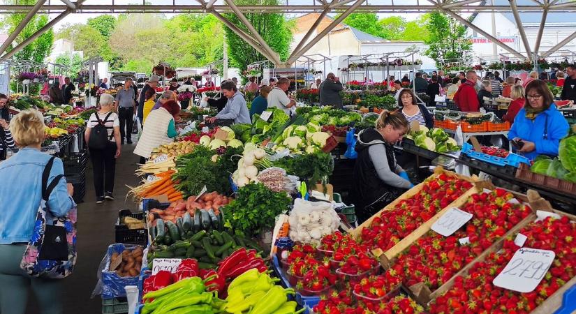 Az egyiknek 8000 forint darabja, a másiknak 15 ezer kilója, a hét végére mégsem marad belőlük a nyíregyházi piacon (fotók, videó)