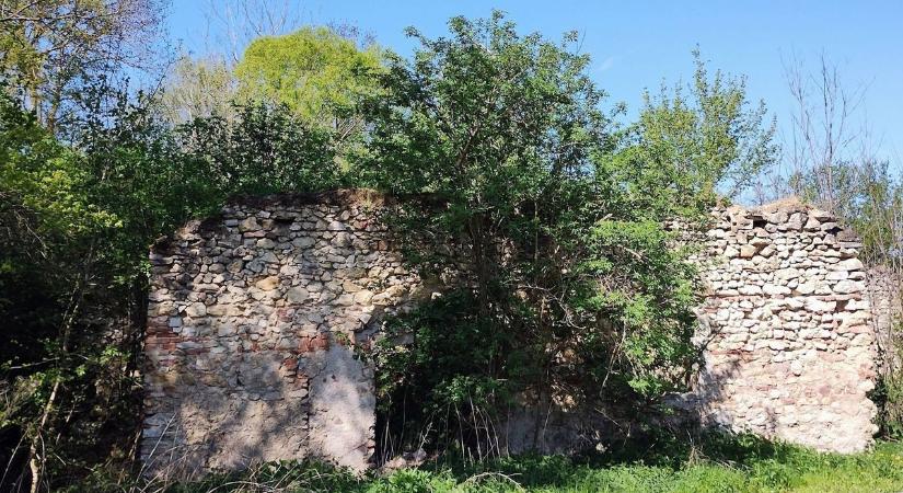 Lombokkal benőtt malomromot, ördög rágta sziklát is ajánlhatunk bakonyi kalandozáshoz (galéria)
