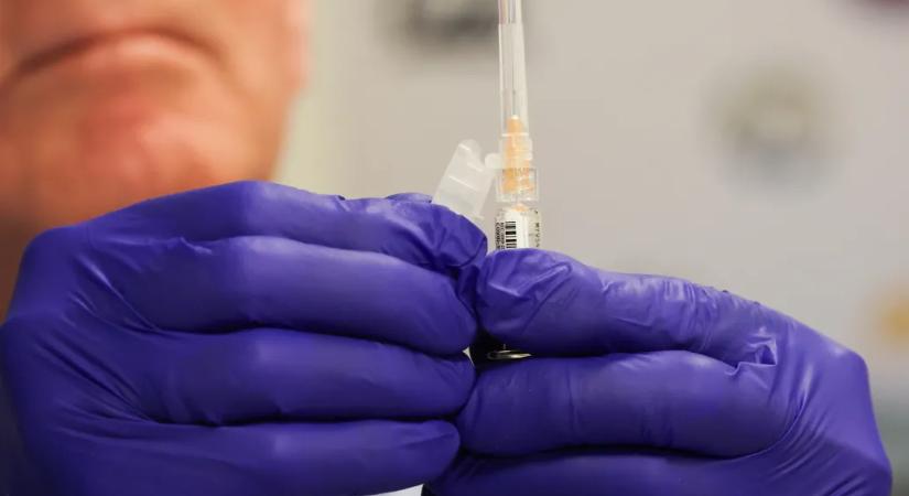 Fact-check: Tényleg van hantavírus-fertőzés a Pfizer koronavírus-vakcinájának mellékhatásai között?