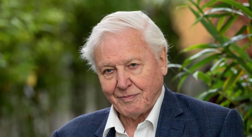 Károly király felköszöntötte a 100 éves Sir David Attenborought