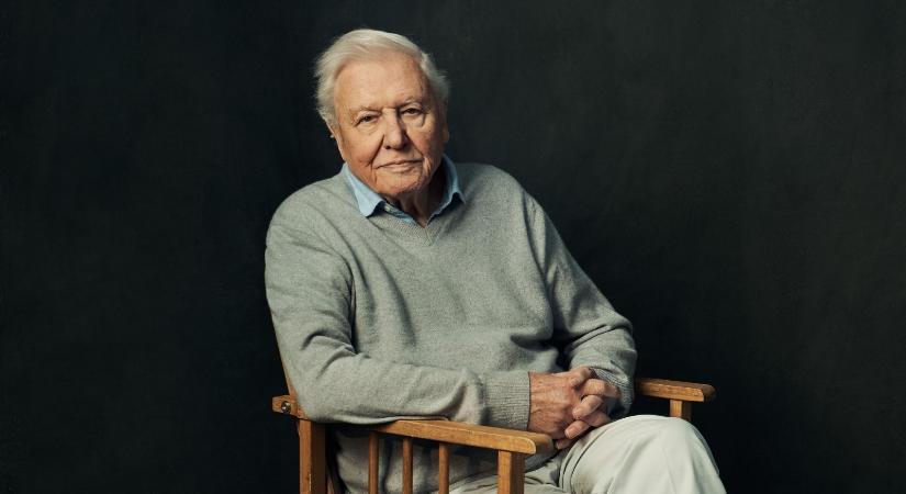 10 meglepő érdekesség, amit nem tudtál a ma 100 éves David Attenborough-ról