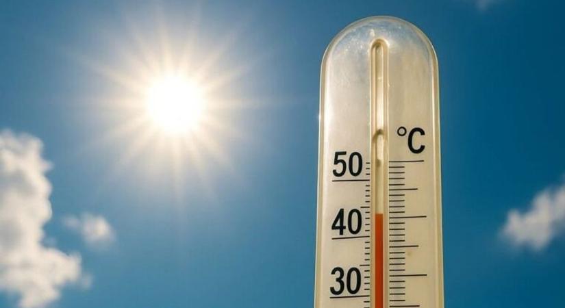 Drámai dolog történt a tűző napon hagyott gyermekekkel