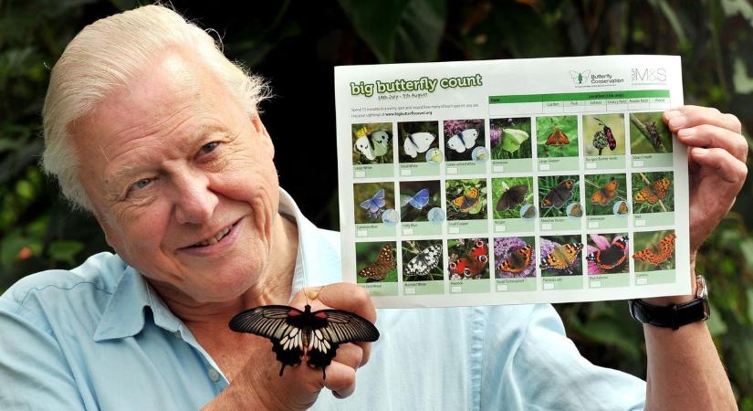 Ma 100 éves Sir David Attenborough, üzenete Zalában is aktuálisabb, mint valaha