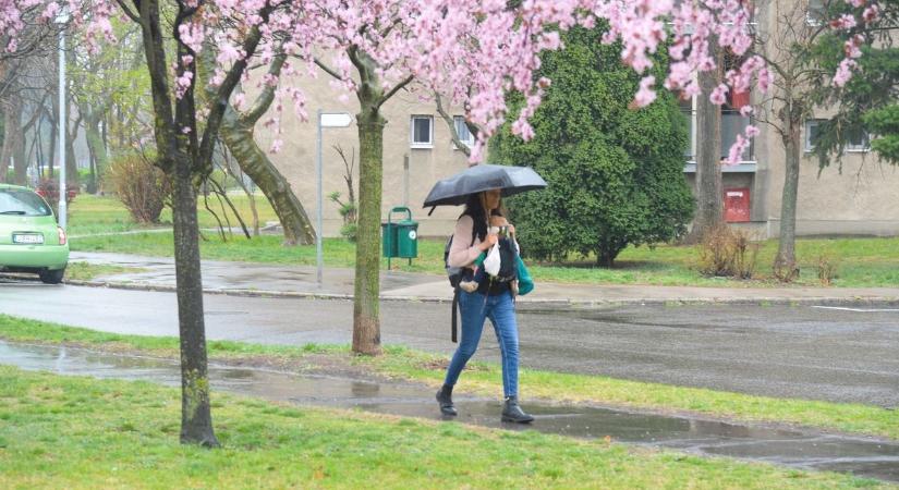 Erre várt mindenki, végre esett a Tisza-tónál is