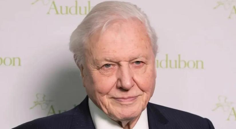 100 éve a Földön, 70 éve a Földért: David Attenborough-t ünnepli ma a világ