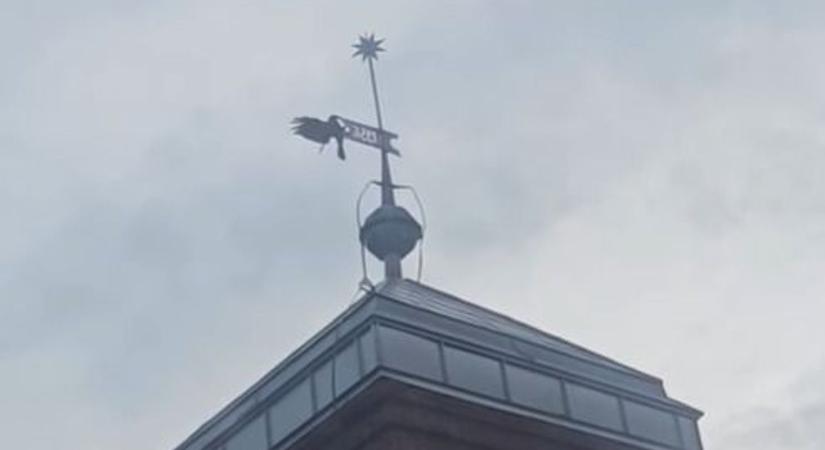 Balatonalmádi szárnyas Don Quijotéja, aki nap mint nap megküzd a gonosz szélirányjelzővel (videó)