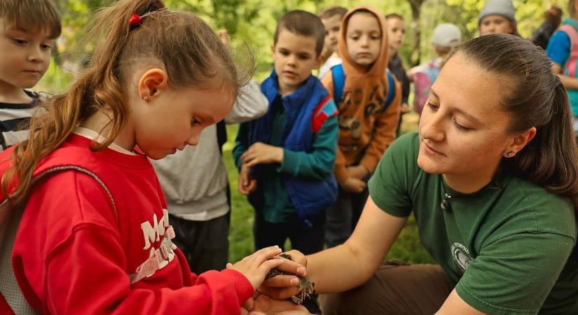 Az odúlakókkak és az erdei énekesekkel ismerkedtek Nyíregyházán (fotók, videók)