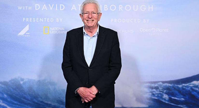 Ajándék Sir David Attenborough 100 születésnapjára: egy újonnan felfedezett darázsfajt neveztek el róla