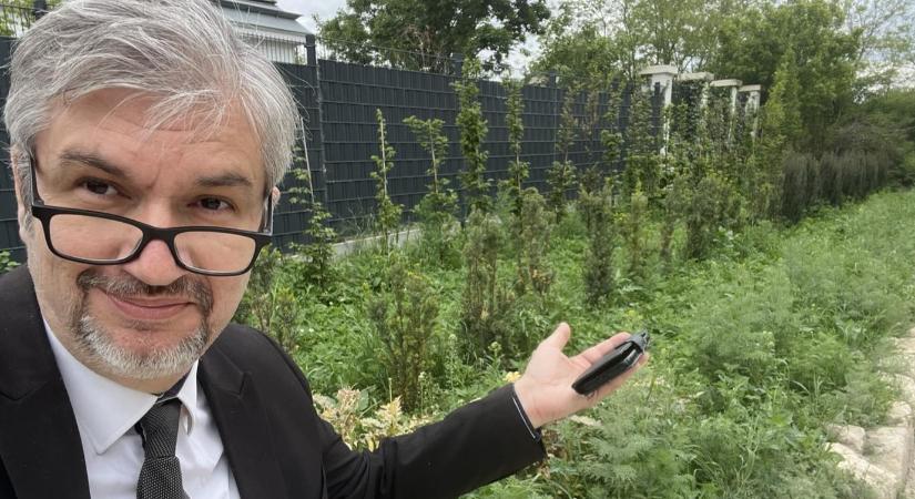 Gaz és száraz kóró – elérte a romlás Hatvanpusztát Hadházy Ákos képei szerint