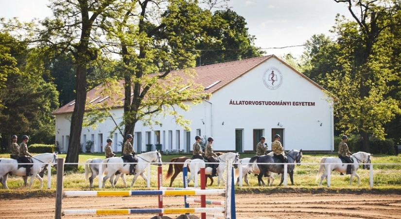 Megújulhatnak az üllői lóklinika útjai