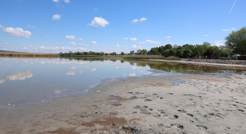 Sokkoló a látvány a Velencei-tónál: Gárdonyban már a mederben sétálnak a turisták