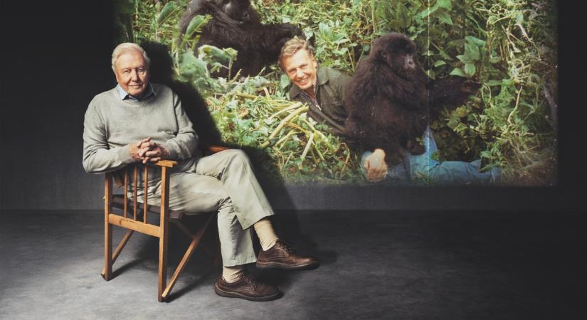 100 éves a világ legismertebb természetfilmese, Sir David Attenborough