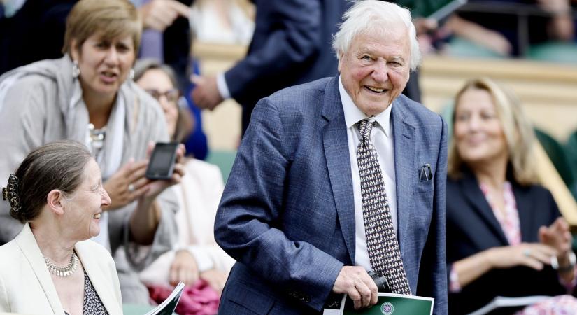 10 (1) tény a 100 éves David Attenborough-ról