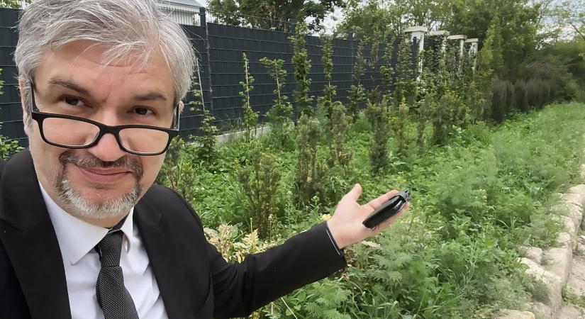 Hadházy Ákos: Hatvanpusztát elkezdte felverni a gaz