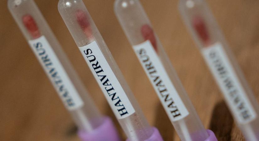 Kórházba vittek és elkülönítettek egy nőt Spanyolországban, aki azon a gépen utazott, amire a hantavírusban meghalt holland beteg is felszállt
