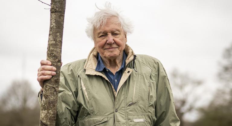 Kreatívan köszöntötte fel a LEGO a 100. születésnapját ünneplő Sir David Attenborough-t