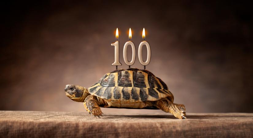 100 éves lett David Attenborough, a természetfilm élő legendája