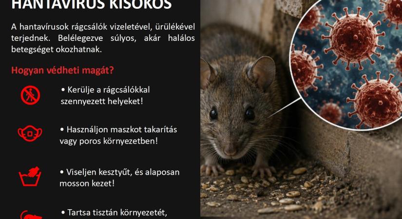 Kell-e félnünk a hantavírustól?