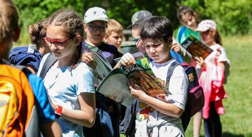Madarak és Fák Napja: játékos vetélkedő várt 200 győri diákot a Püspökerdőben - fotók