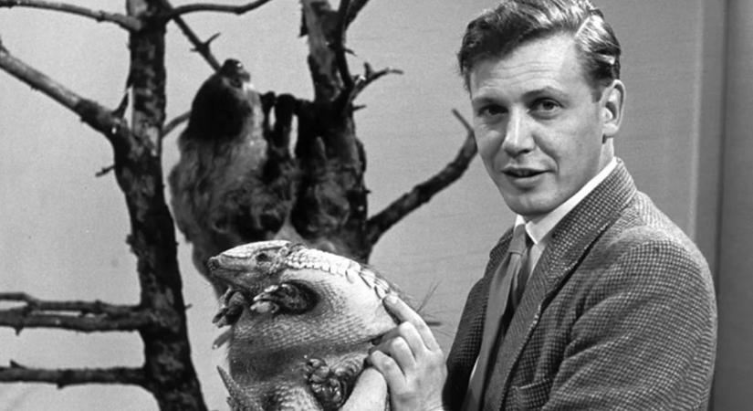 Üreges műökör és kötéltechnika: így fotózott a vadonban a 100 éves Sir David Attenborough mentora