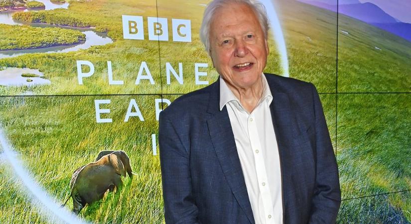 100 éves David Attenborough: a véletlen tette műsorvezetővé, de fájdalmas áldozatokat hozott karrierjéért