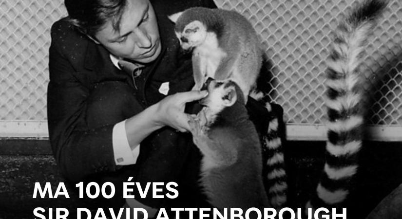 100 éves David Attenborough – Gajdos László is köszöntötte minden idők legkiválóbb természetfilmesét