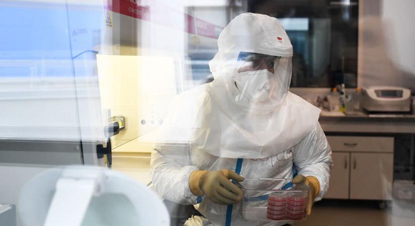 Tbc-fertőzés egy Pest vármegyei iskolában: már 16 diáknál mutatták ki a kórokozót