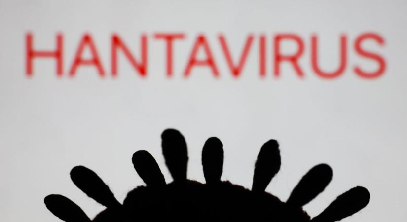 A hantavírussal kapcsolatban ez a legfontosabb, amit tudnod kell – morbid oka van a szakértők szerint, miért nem lesz világjárvány belőle