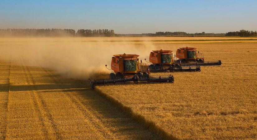 „Lesz, ahol semmit sem vetünk” – drámai fordulat előtt a magyar agrárium