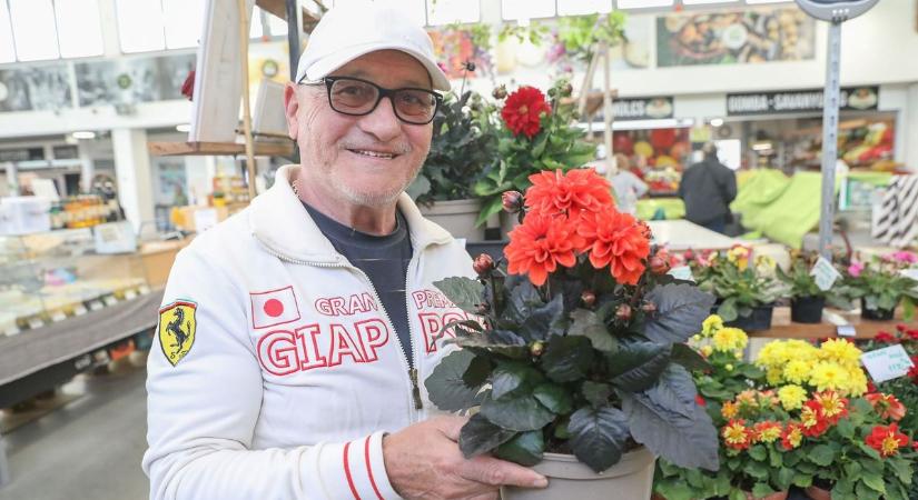 „A természet csodákra képes” – 45 éve virágok között él a szombathelyi piac legendás Blumenboya