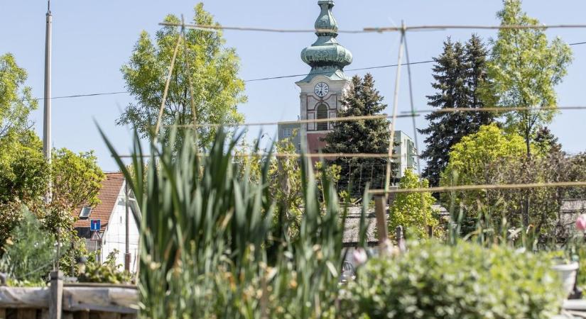 Székesfehérvár egyik legkülönlegesebb helye: ez a kert a városi élet egyik legjobb ellenszere (galéria, videó)