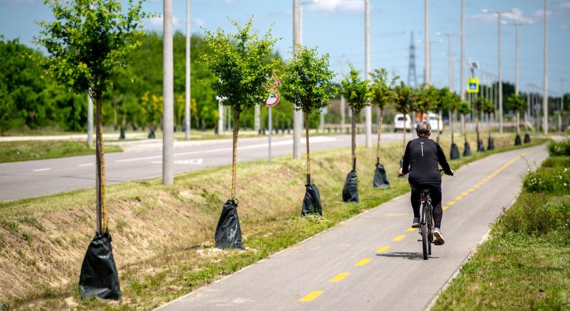 4,5 kilométernyi kerékpárúttal kötik be a városközpontba Pécs déli külvárosát