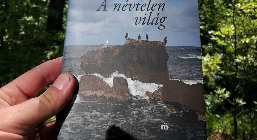 Megnyitni a tengeri napot