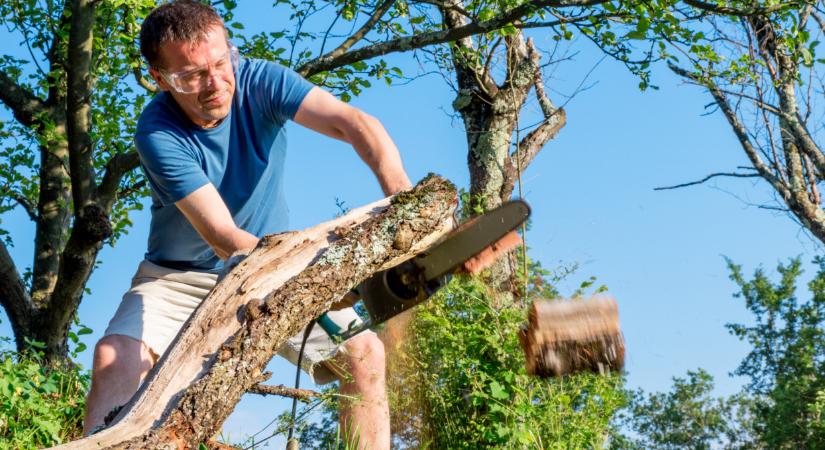 Figyelmeztetik a magyarokat: ezt a munkákat jobb, ha nem most végzed el