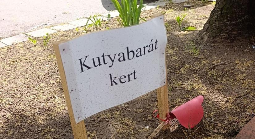 Egy nyíregyházi szembement a „nem kutya WC” trenddel — imádja az internet