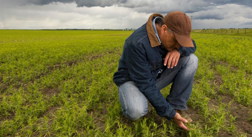 Megszólalt az új agrárminiszter: nagy változásokat tervez, a földtulajdonhoz is hozzányúlhatnak