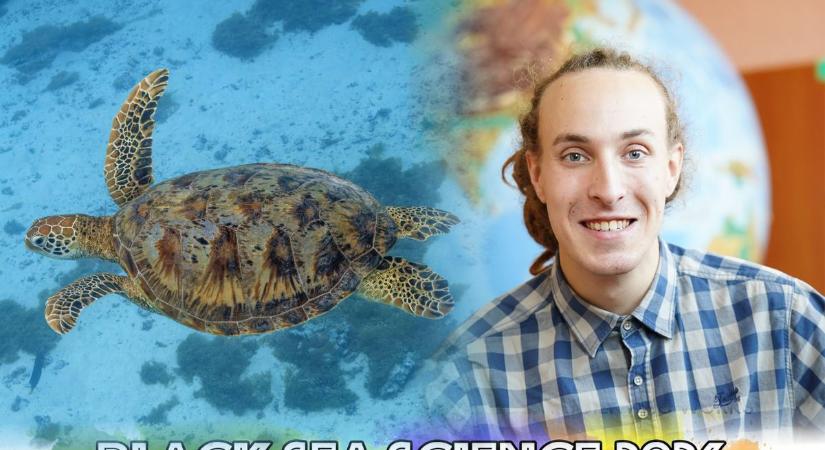 Világsiker Nyíregyházáról: tengeri teknősöket menthet egy magyar hallgató találmánya
