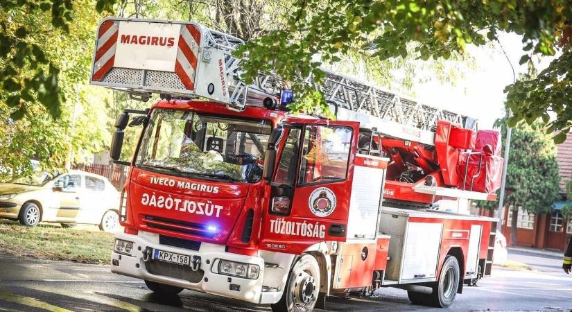 A környéken lakók is csatlakoztak a tűzoltókhoz, együtt oltották a lángokat Cserkeszőlőn