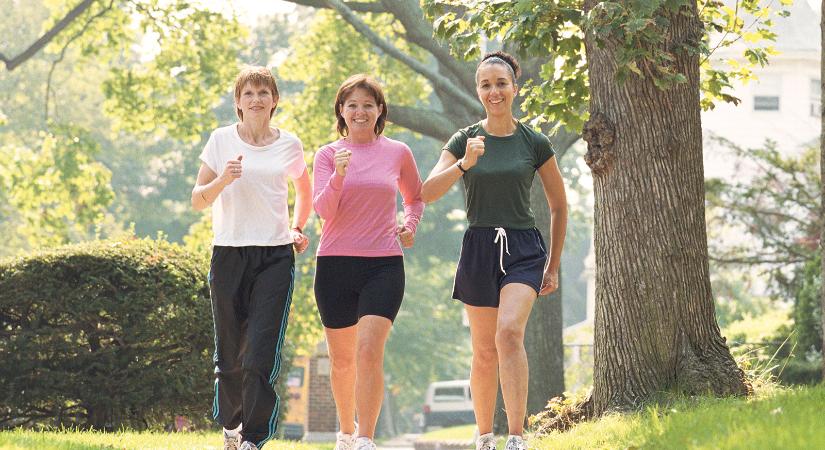 Nők Lapja Életmódváltó Program: Végre magukat választották