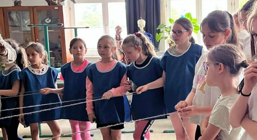Az erdőkkel ismerkedtek az igali diákok: a te gyermeked is rajta van a fotón?