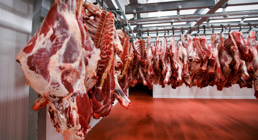 Bekeményített Kína: hajlandóak többet fizetni a húsért, de egy váratlan feltételt szabtak