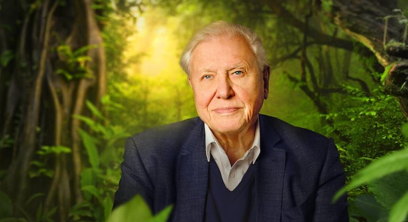 Netflix: 4 természetfilm és sorozat a ma 100 éves David Attenborough-tól, amit nem érdemes kihagyni!