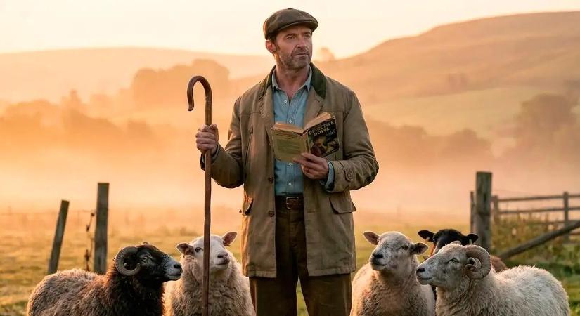 Hugh Jackman nem nézi birkának a birkákat, azok meg hálából kinyomozzák a halálát – Megnéztük a Birkakrimit