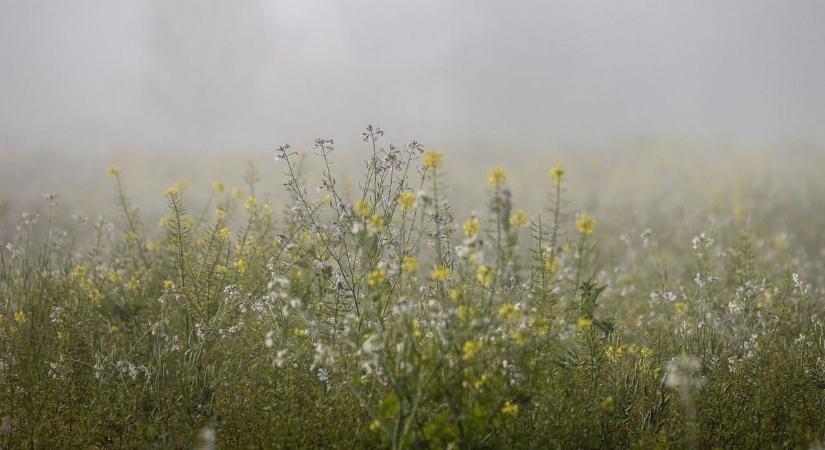 Hűvös reggel, kellemes délután – tartogat meglepetést a holnapi időjárás