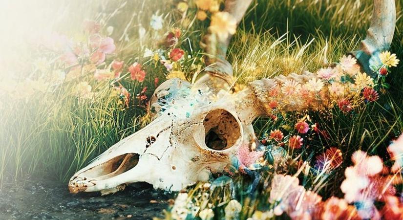 The Fading of Nicole Wilson: új név a rejtélyes kalandnak! [VIDEO]