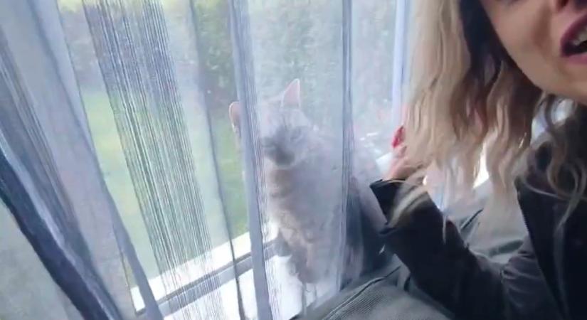 Aranyosabb már nem is lehetne – a Határtalan szerelem Krisztije megmutatta cuki cicáit