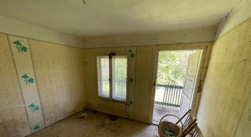 Különös elhagyott házra bukkantak a Tokaji-hegyen, a természet már visszahódította (fotók!)